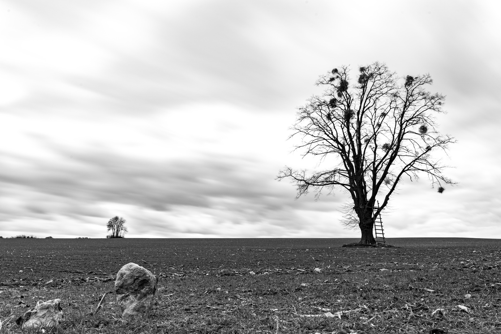 Viel Wind auf dem Feld