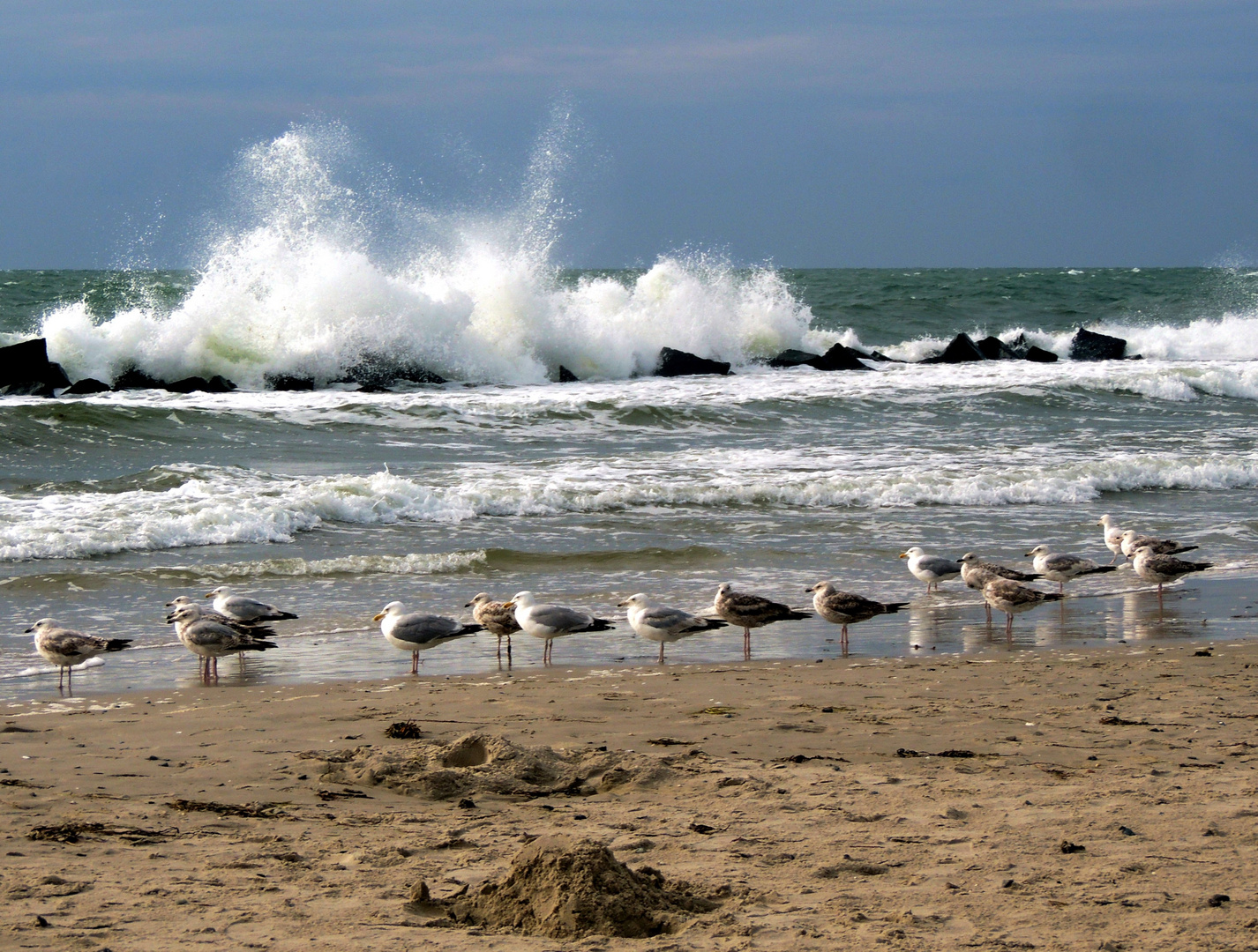 Viel Wind um die Wellenbrecher in Wustrow