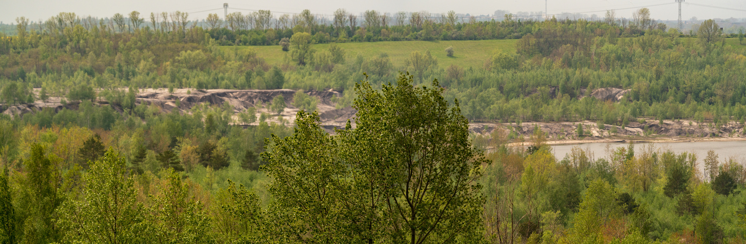 Viel zu selten Panoramen