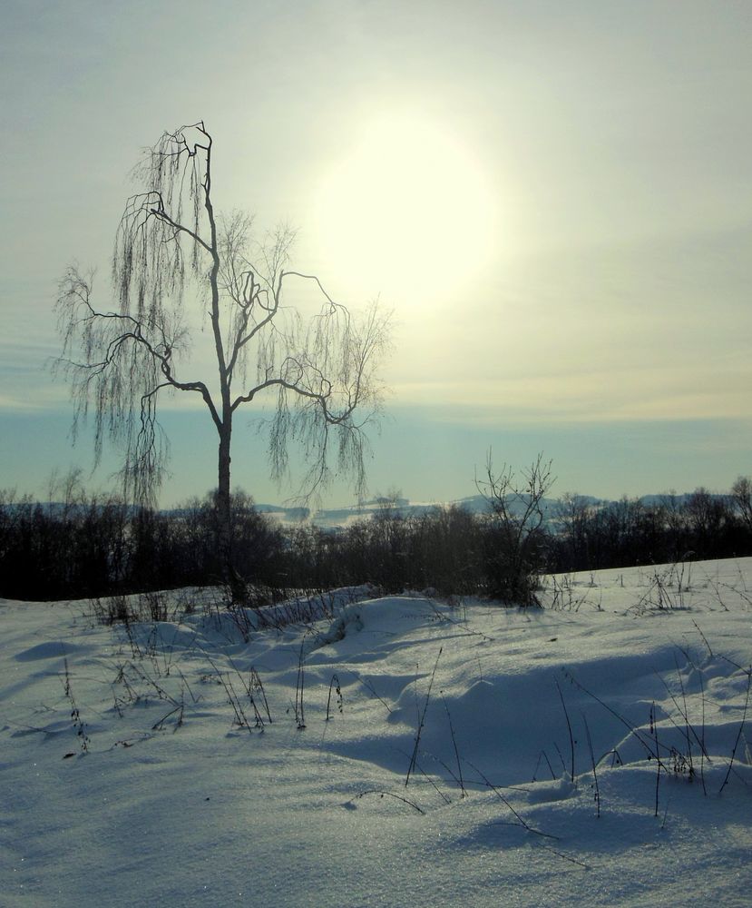 Vielauer Land im Winter