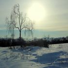 Vielauer Land im Winter