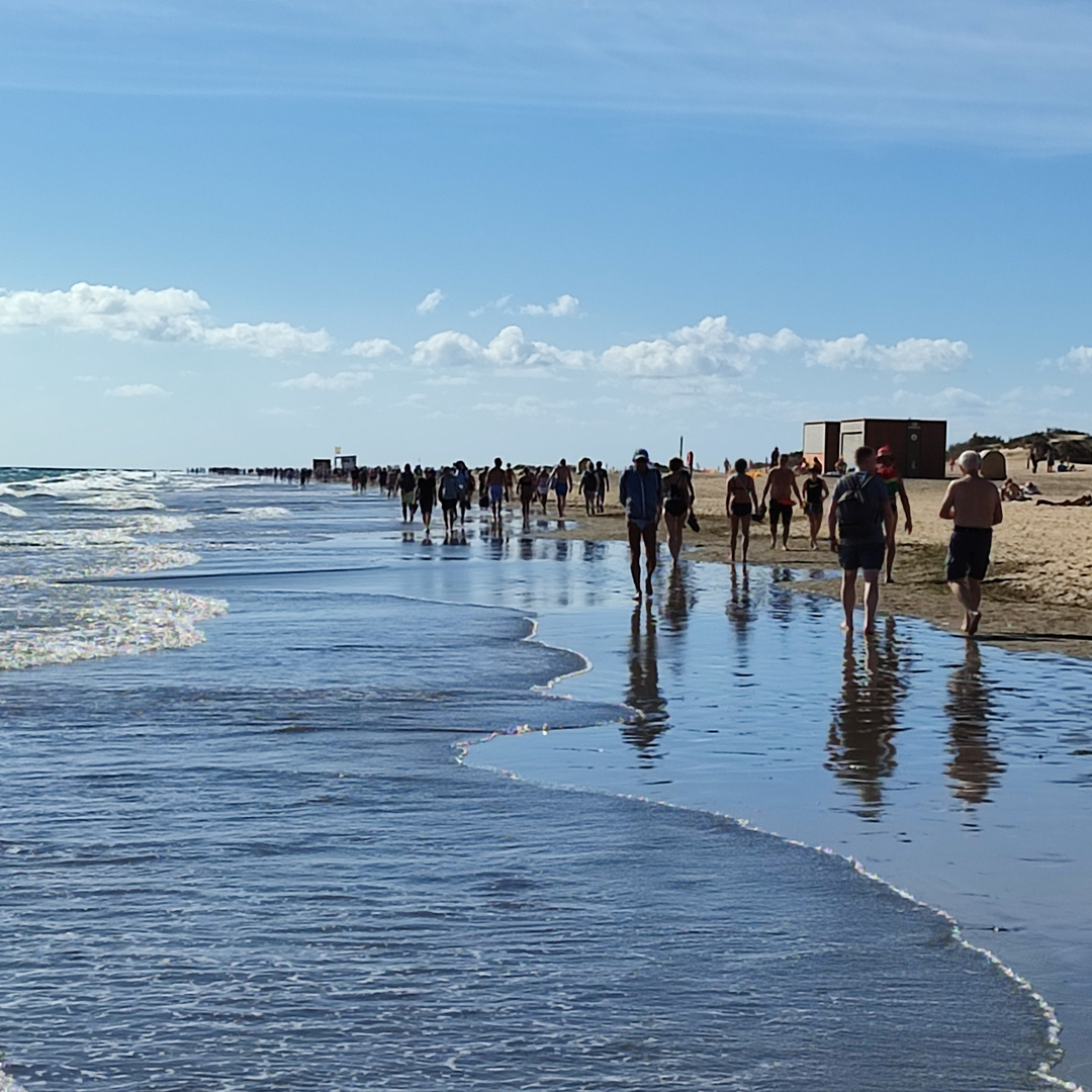 Viele am Strand