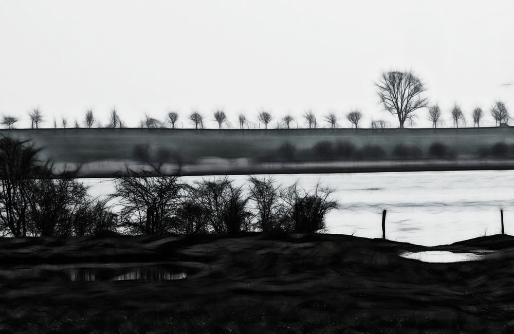 ... viele bäume in der landschaft 