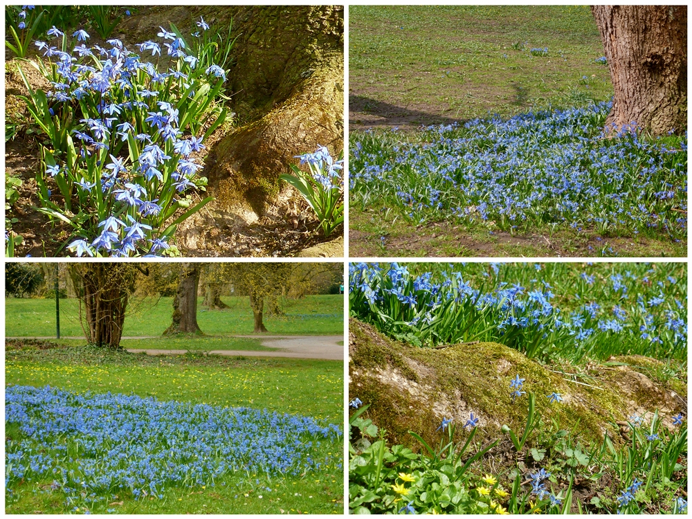 Viele blaue Sternchen