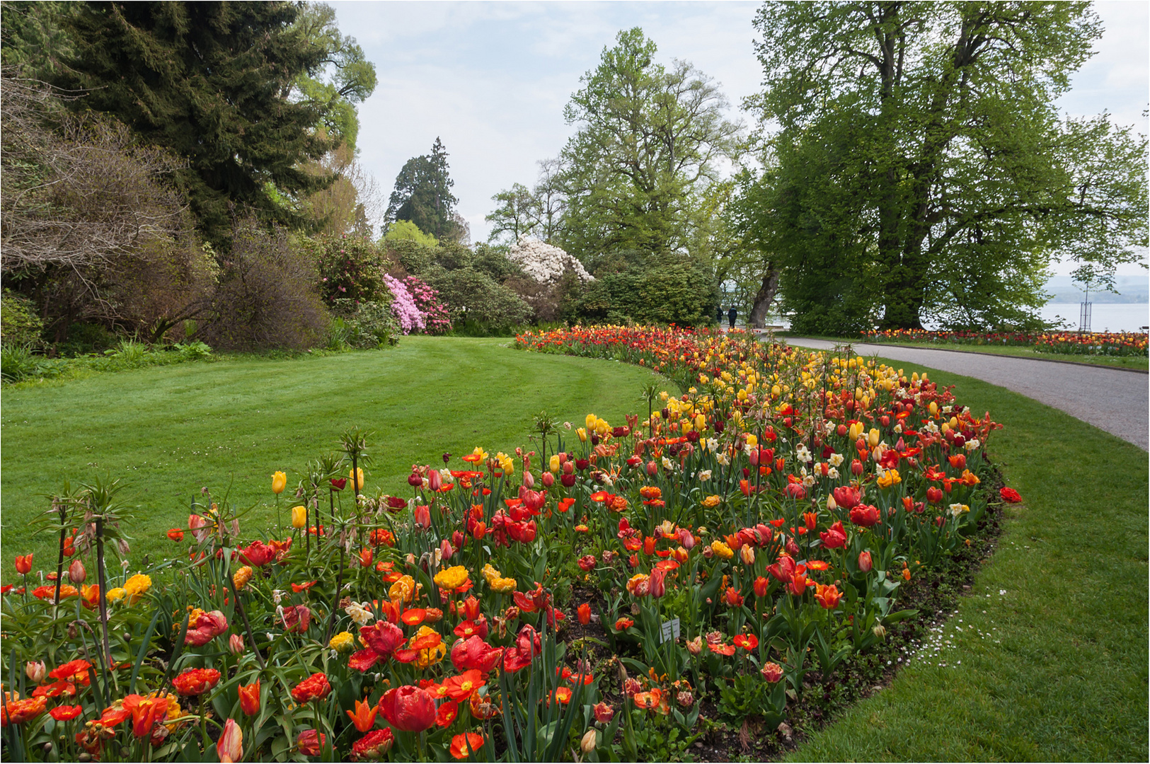 viele Blümchen