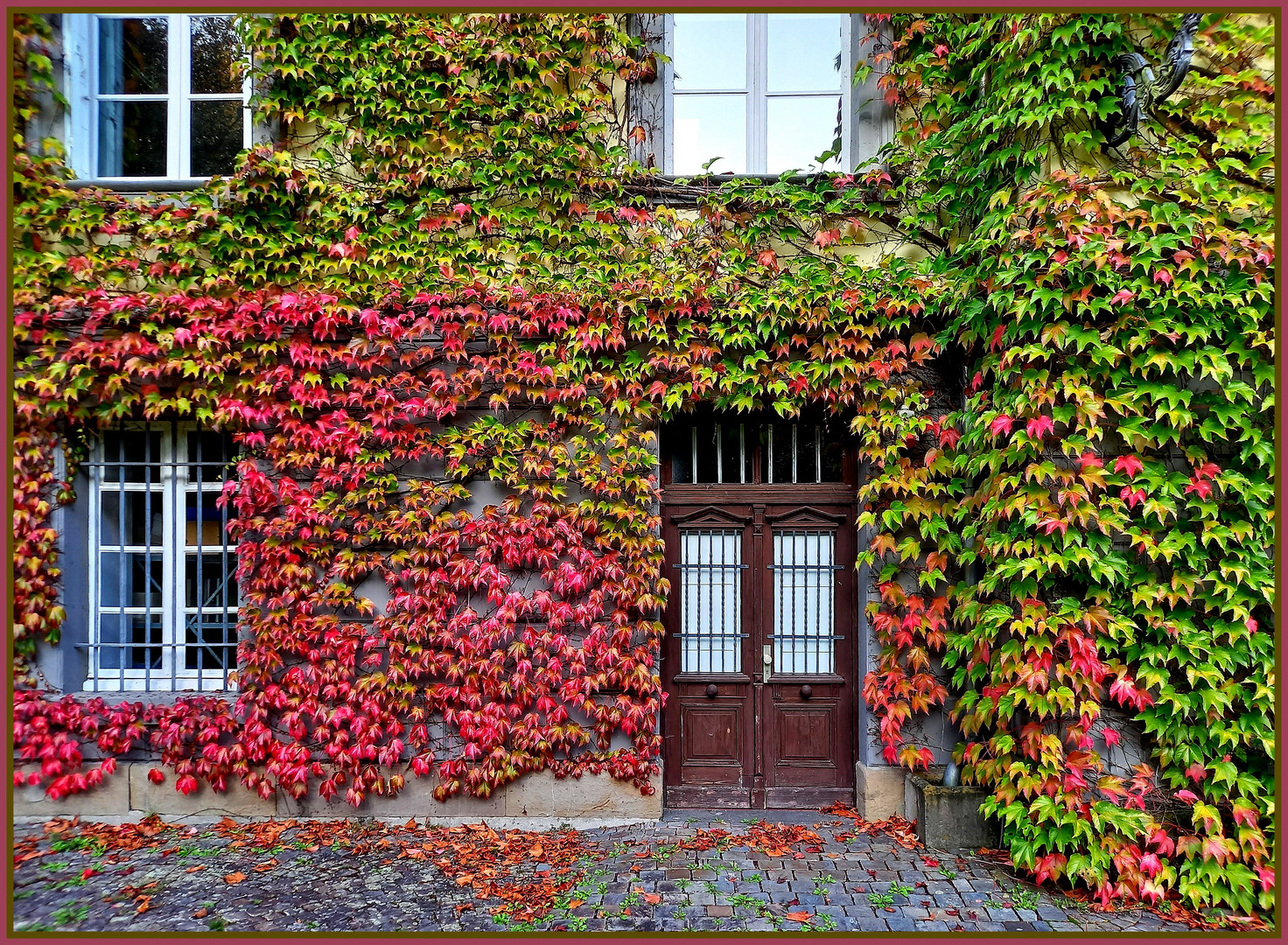 viele bunte Blätter zum Mittwoch