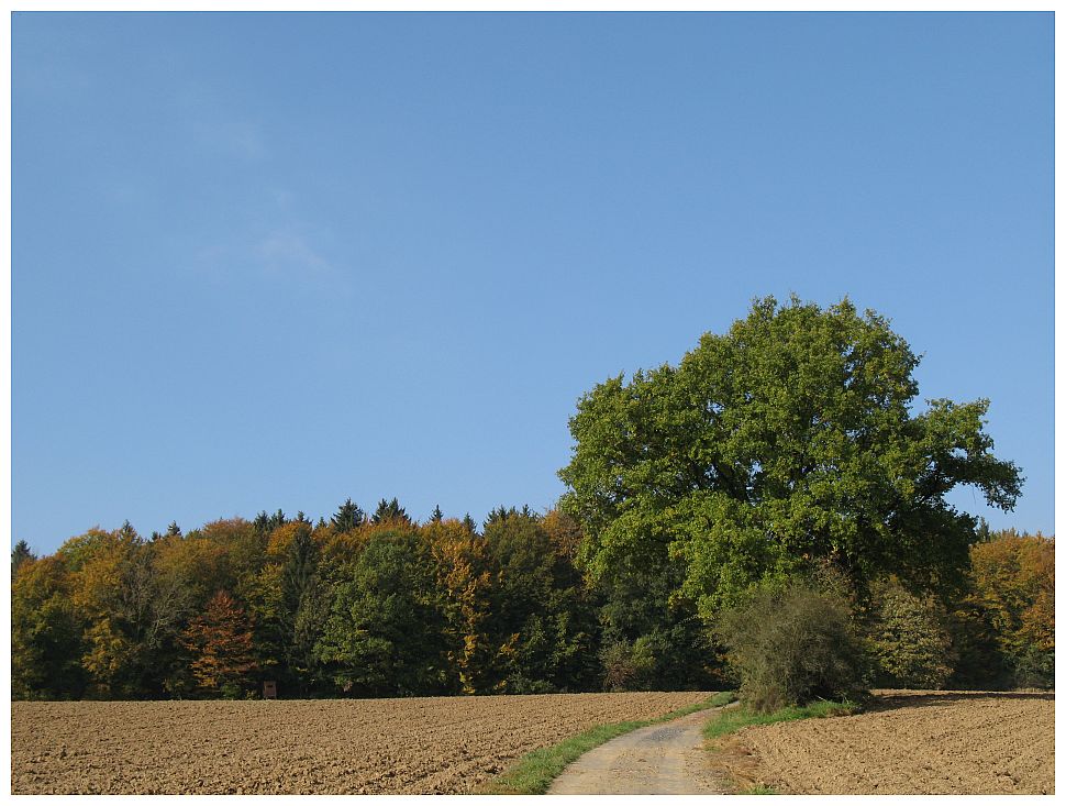 Viele bunte Farben