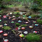 viele bunte Steine im Wald