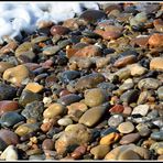 Viele bunte Steine - Nordsee - Dänemark