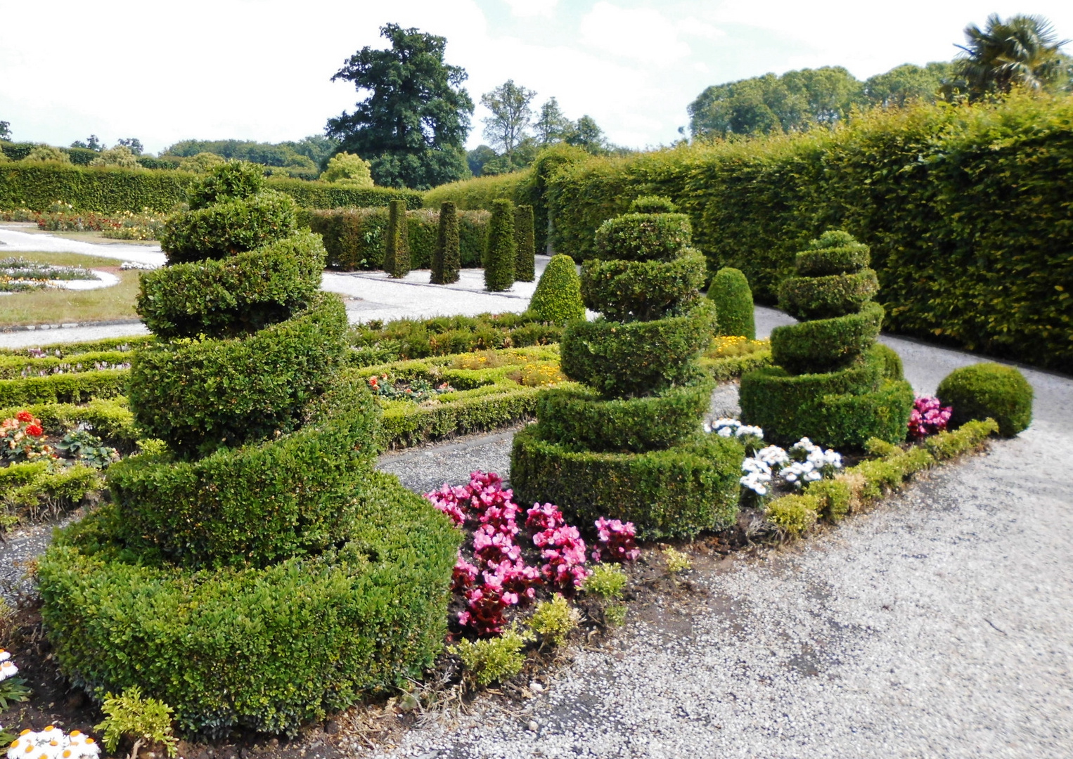 Viele Formen Buxbaum