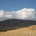 Viele Gesichter der Natur