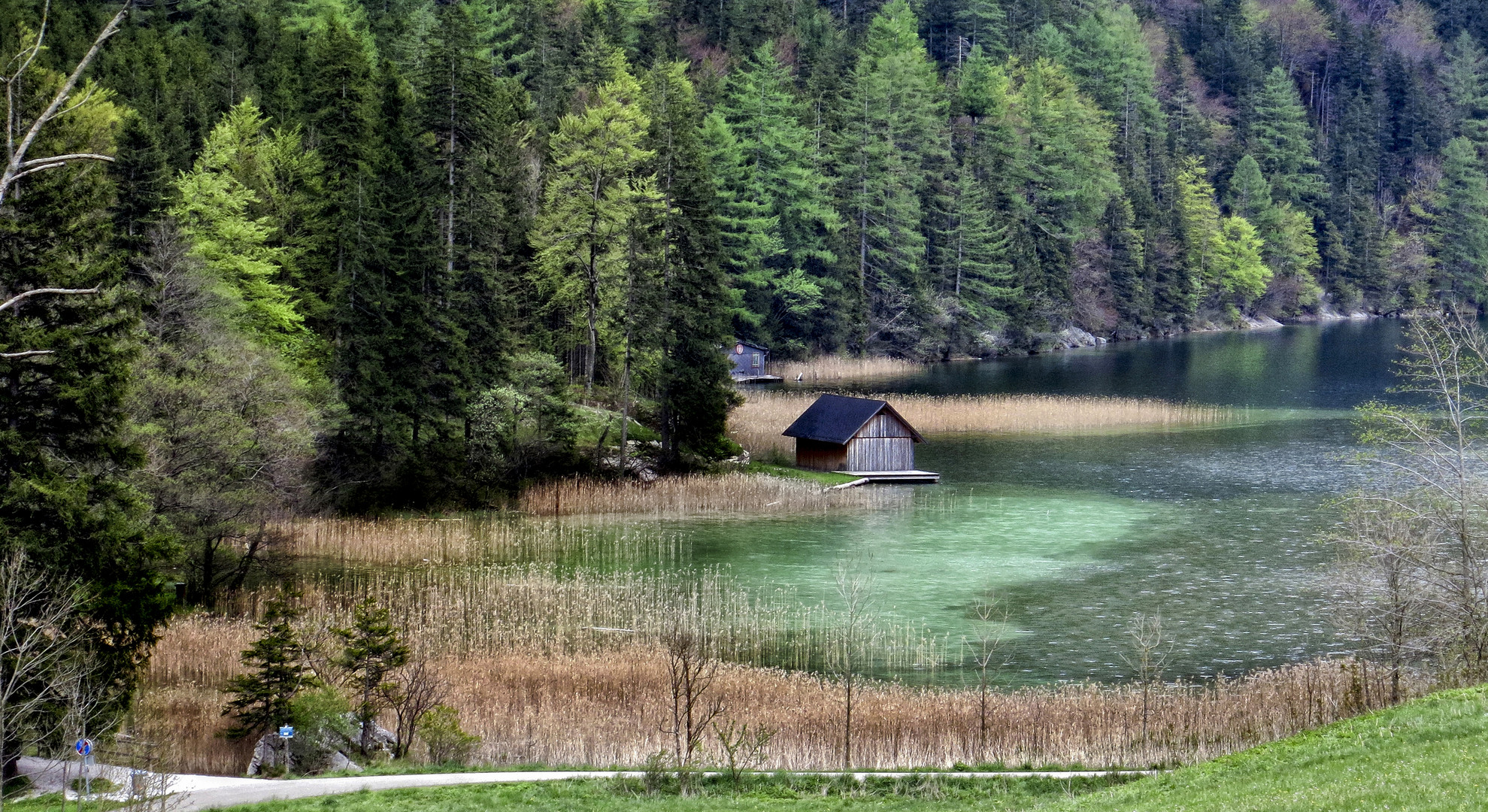 Viele Grüntöne