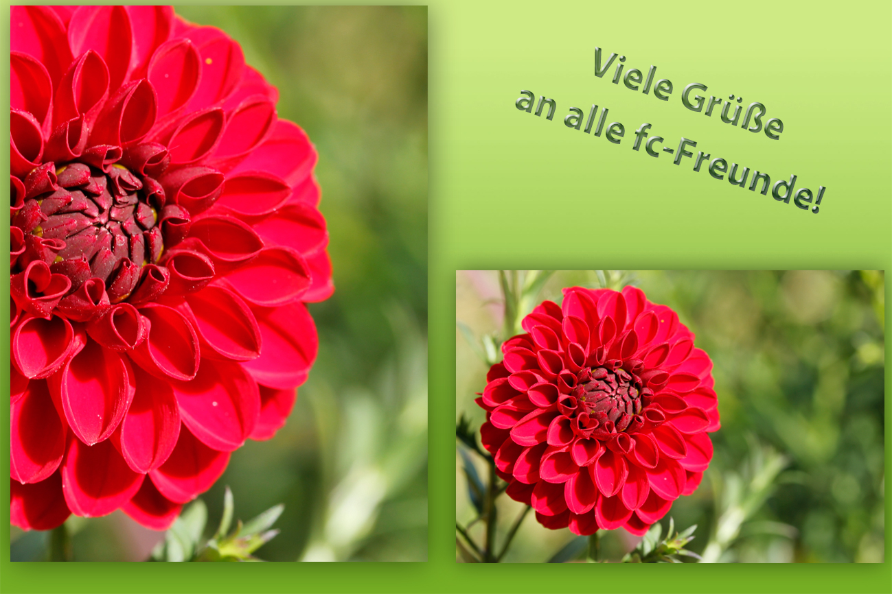 Viele Grüsse Viele Grüsse