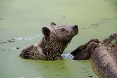 Viele Grüße aus dem Berliner Zoo-1