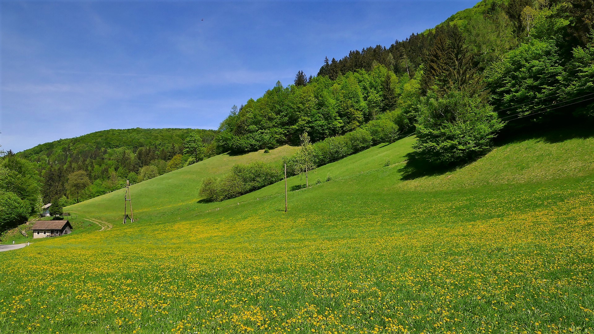 Viele Grüße aus dem Pielachtal