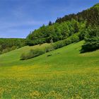 Viele Grüße aus dem Pielachtal