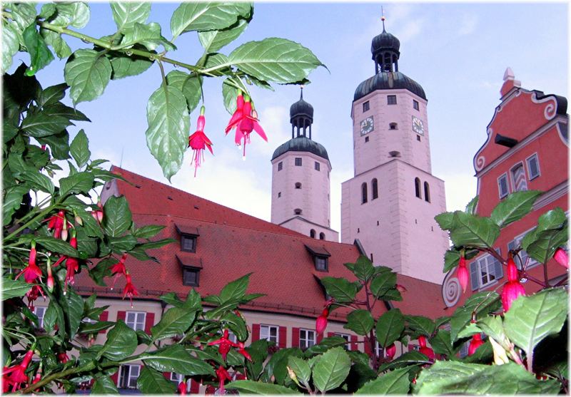 Viele Grüße aus der Fuchsienstadt Wemding