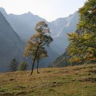 Viele Grüße vom Herbst