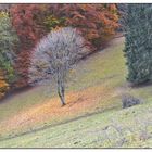 Viele Grüße vom Oktober an Euch.