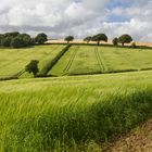 Viele Grüße von Rosamunde Pilcher 