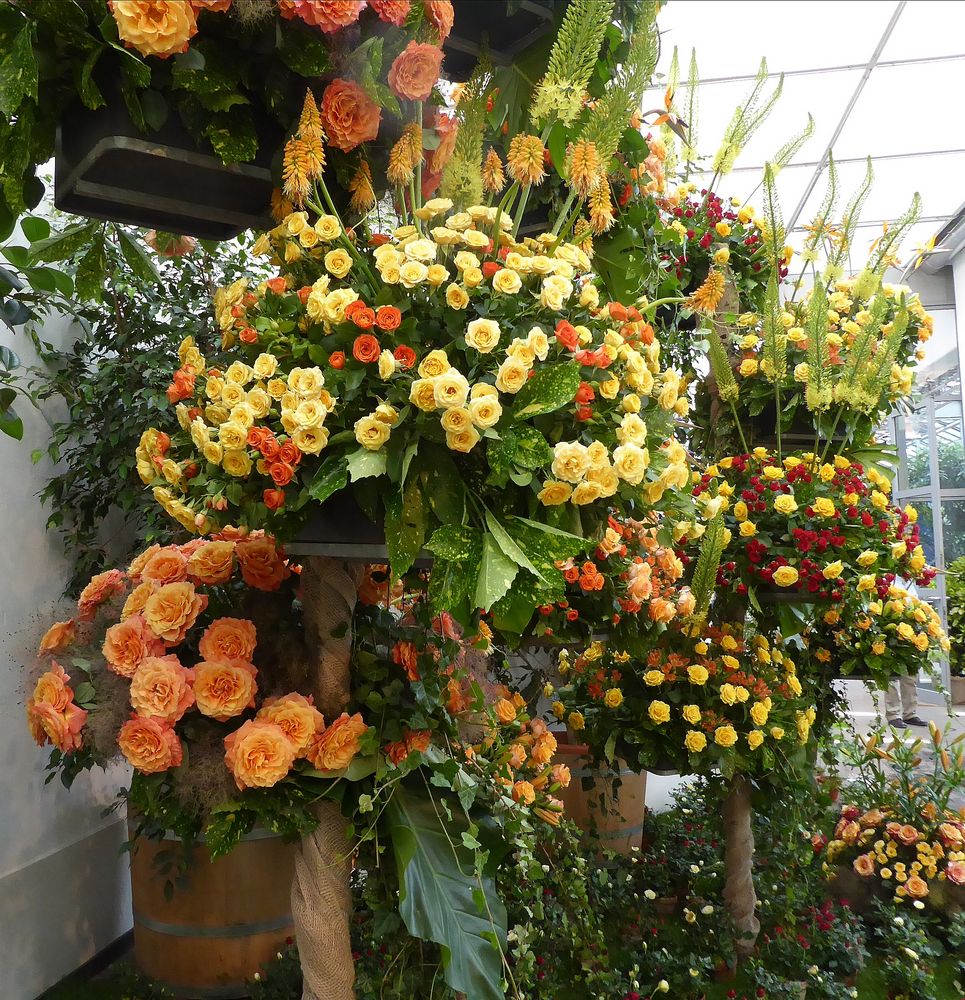 viele herrliche Rosengestecke zusammen