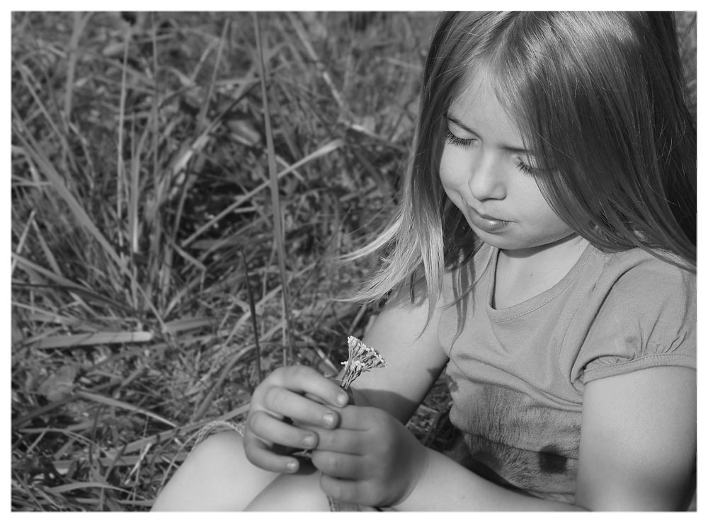 ....viele kleine Blüten