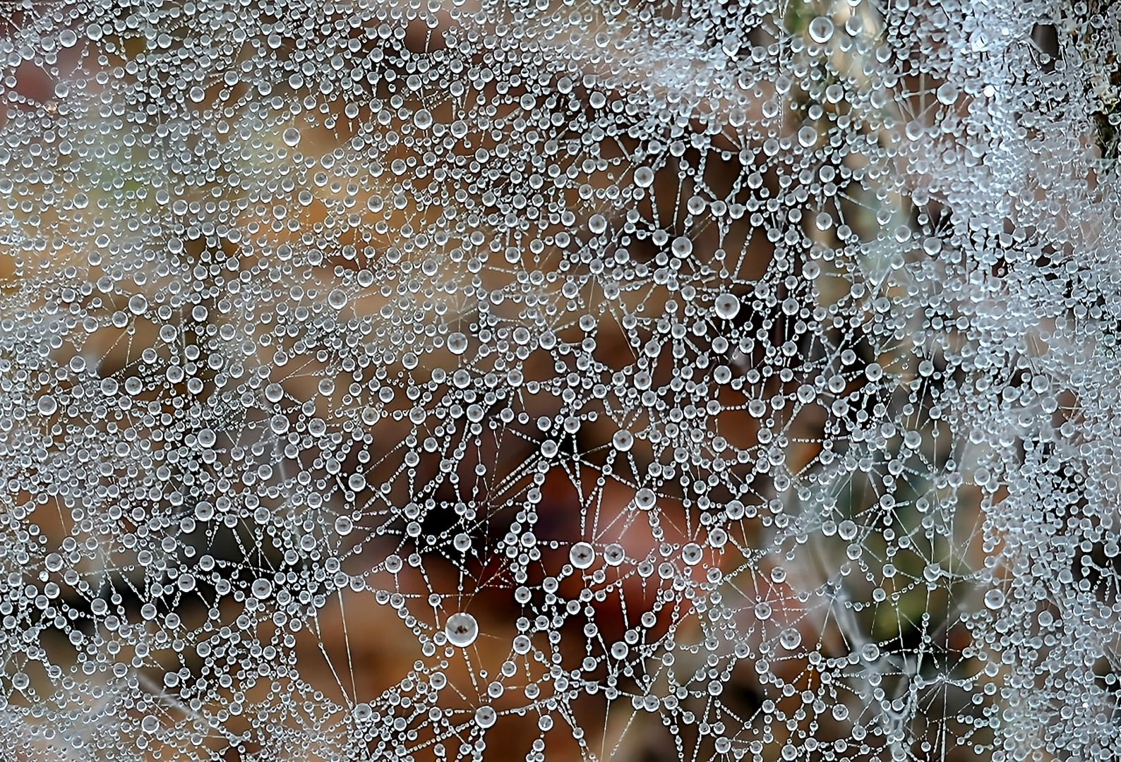 Viele kleine Durchblicke am frühen Morgen...