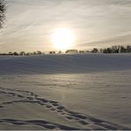 Viele Lichtblicke im neuen Jahr. . .