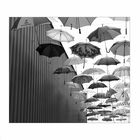 Viele Regenschirme kann man auch als einen grossen Sonnenschirm benutzen