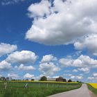 Viele Schäfchenwolken über den Rapsfeldern