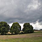 Viele Schafe und ein blaues Fenster