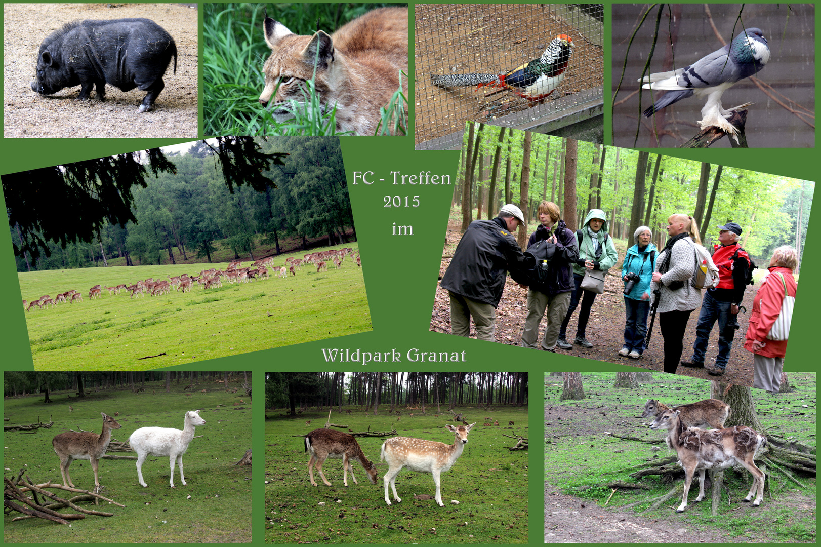 Viele schöne Tiere...