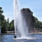 Viele Schulklassen tummelten sich im sonnigem Park 