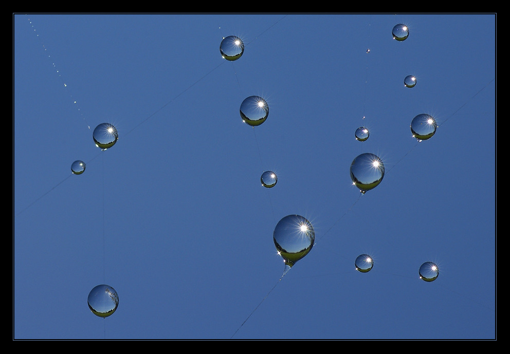 Viele "Sonnenballons" - nur einer tanzt aus der Reihe...