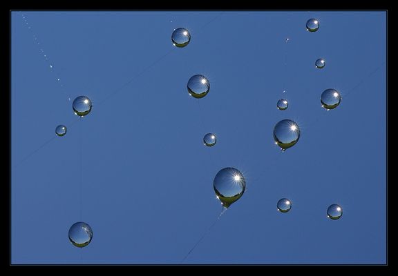 Viele "Sonnenballons" - nur einer tanzt aus der Reihe...