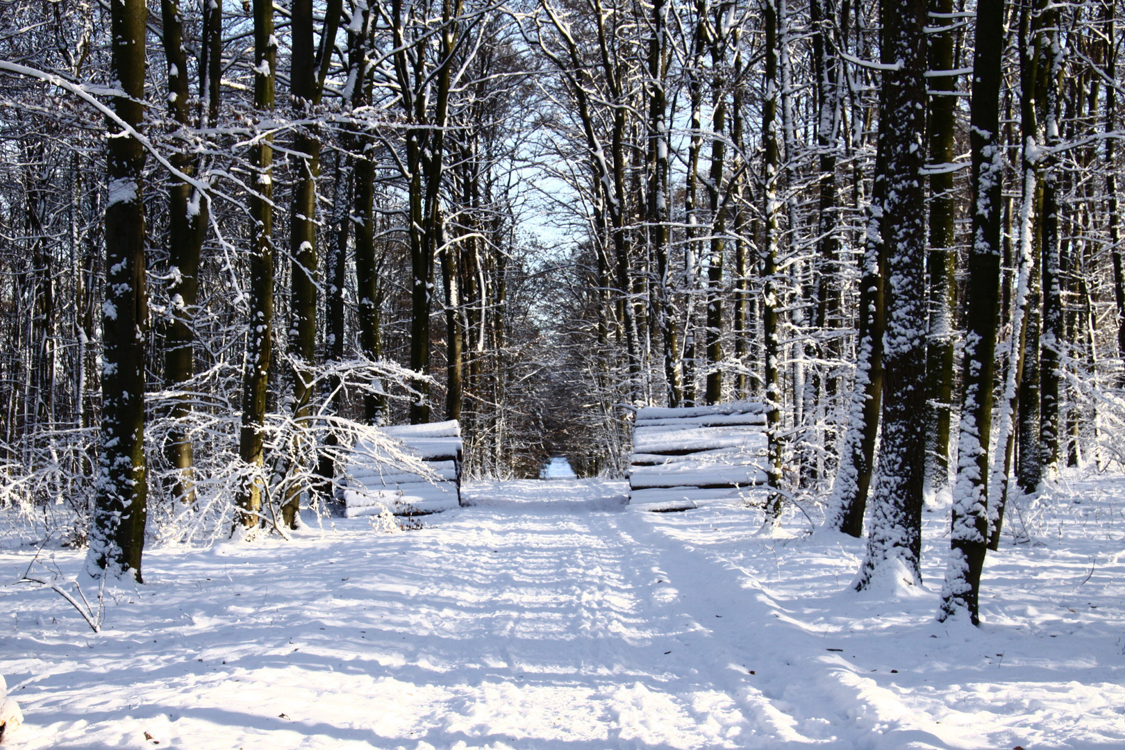 Viele Spuren im Schnee