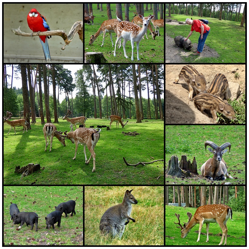 Viele verschiedene Tiere . . . Foto & Bild tiere, zoo, wildpark