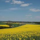 viele viele gelbe Flächen