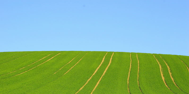 Viele Wege führen nach......