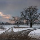 Viele Wege führen nach ....