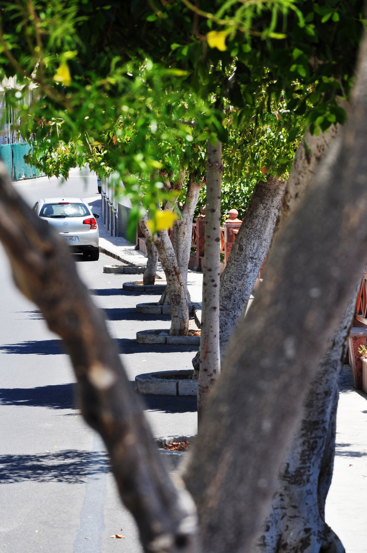 Viele Wege führen nach Maspalomas