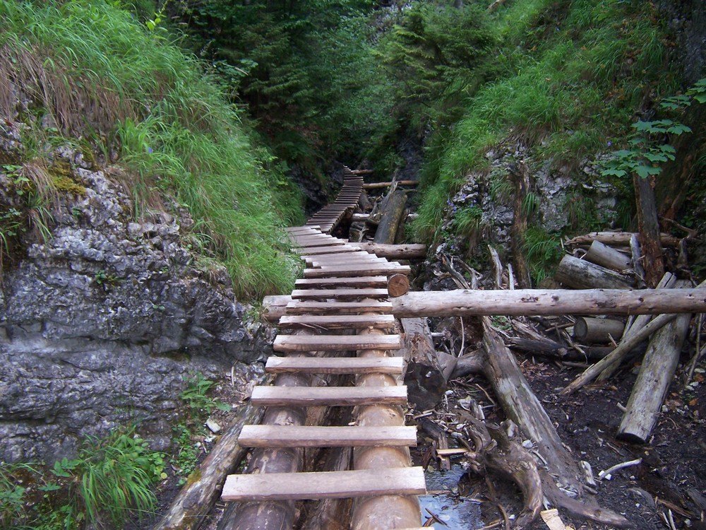 viele Wege führen nach Rom!