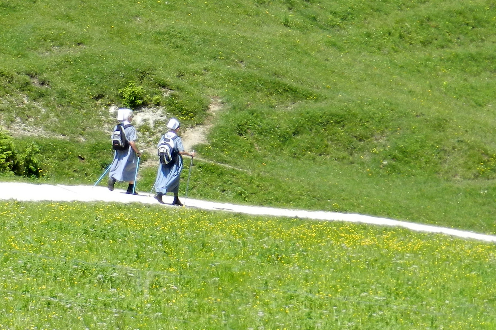 Viele Wege führen nach Rom