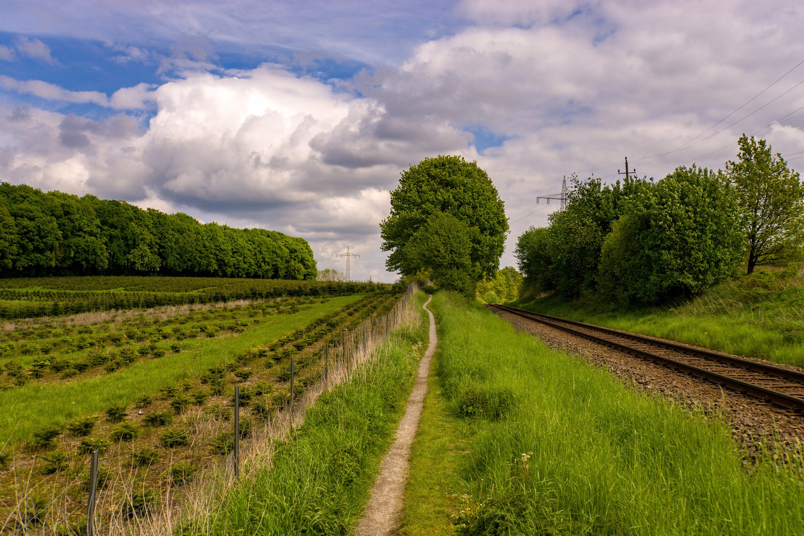 Viele Wege führen zum Ziel