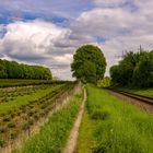 Viele Wege führen zum Ziel