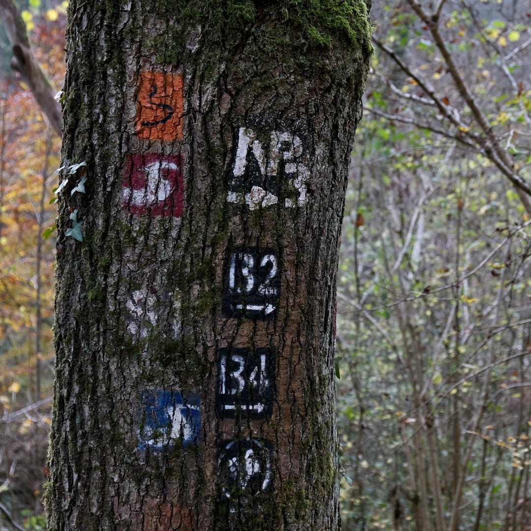 Viele Wege führen zum Ziel???