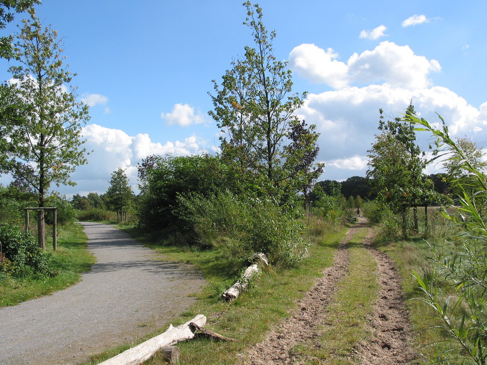 Viele Wege führen zum Ziel