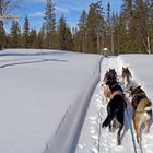 Viele Wege (Trails) führen.....