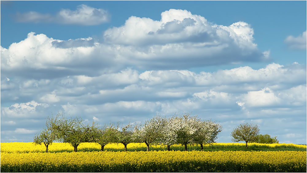 Viele Wolken