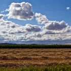 Viele Wolken und wieder kein Regen